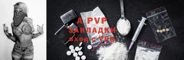 ПСИЛОЦИБИНОВЫЕ ГРИБЫ Абаза