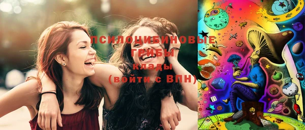 ПСИЛОЦИБИНОВЫЕ ГРИБЫ Абаза