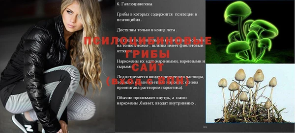 ПСИЛОЦИБИНОВЫЕ ГРИБЫ Абаза