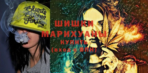 ПСИЛОЦИБИНОВЫЕ ГРИБЫ Абаза