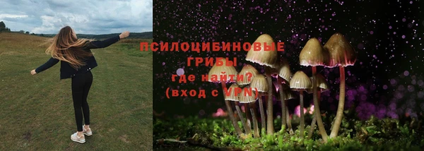 ECSTASY Абинск