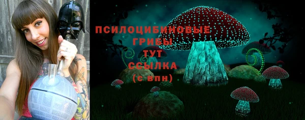 ECSTASY Абинск
