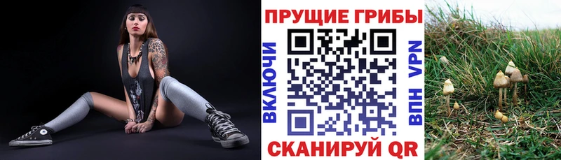 Галлюциногенные грибы прущие грибы  Ртищево 