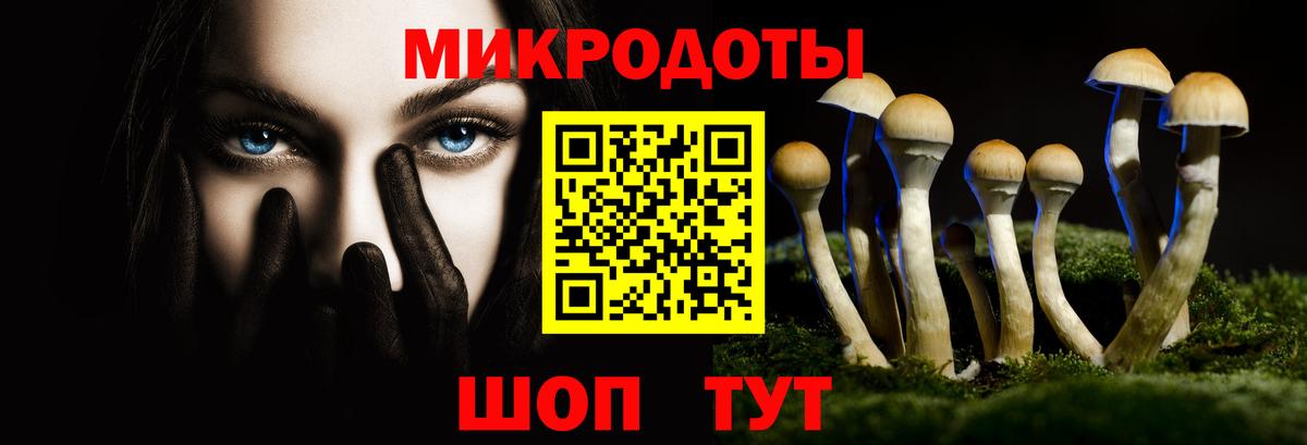 Псилоцибиновые грибы Cubensis Ртищево